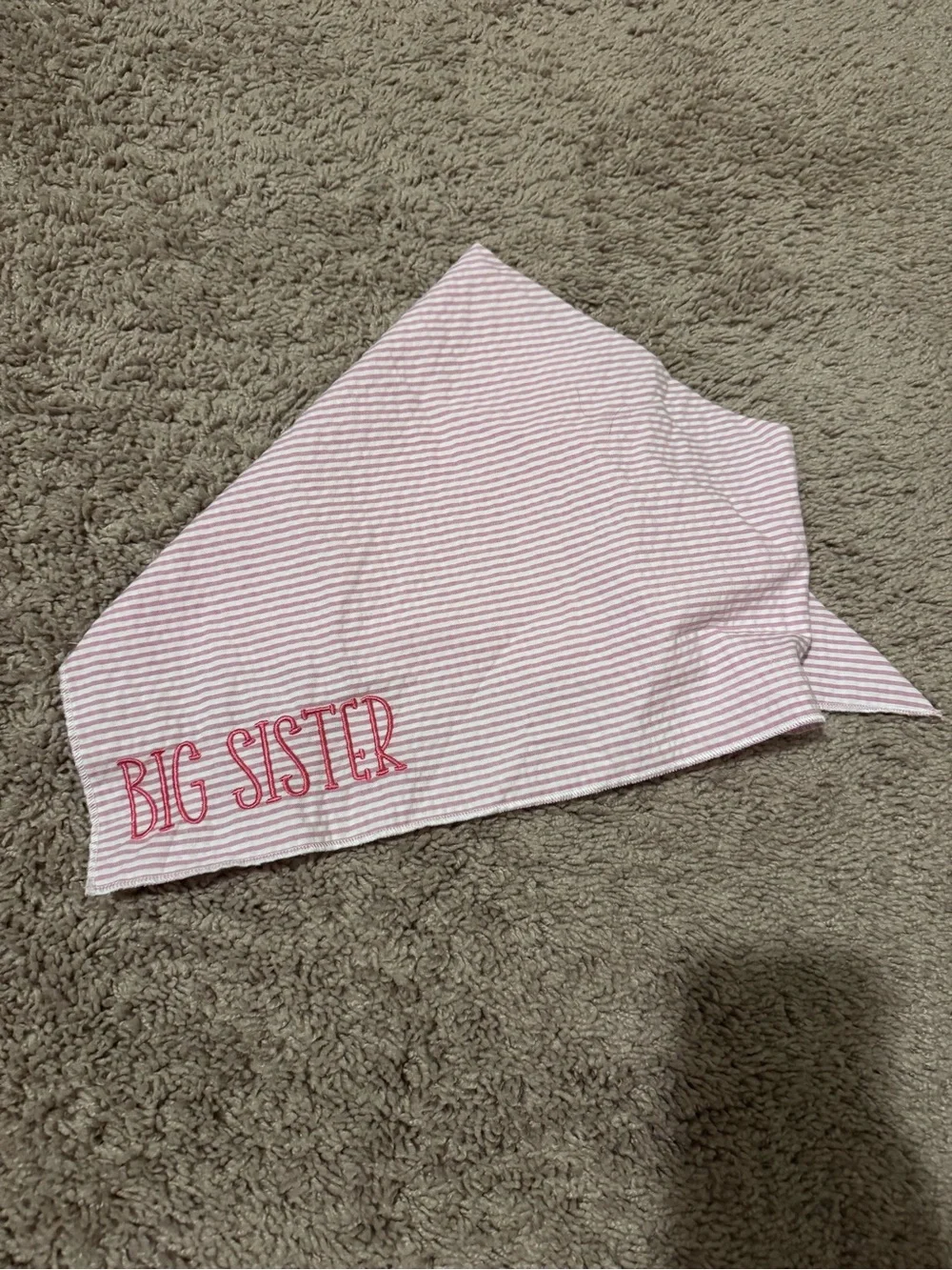 Big Sister Pink Striped Large Dog Bandana